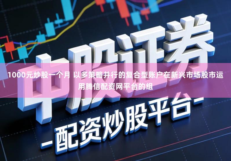 1000元炒股一个月 以多策略并行的复合型账户在新兴市场股市运用腾信配资网平台的组
