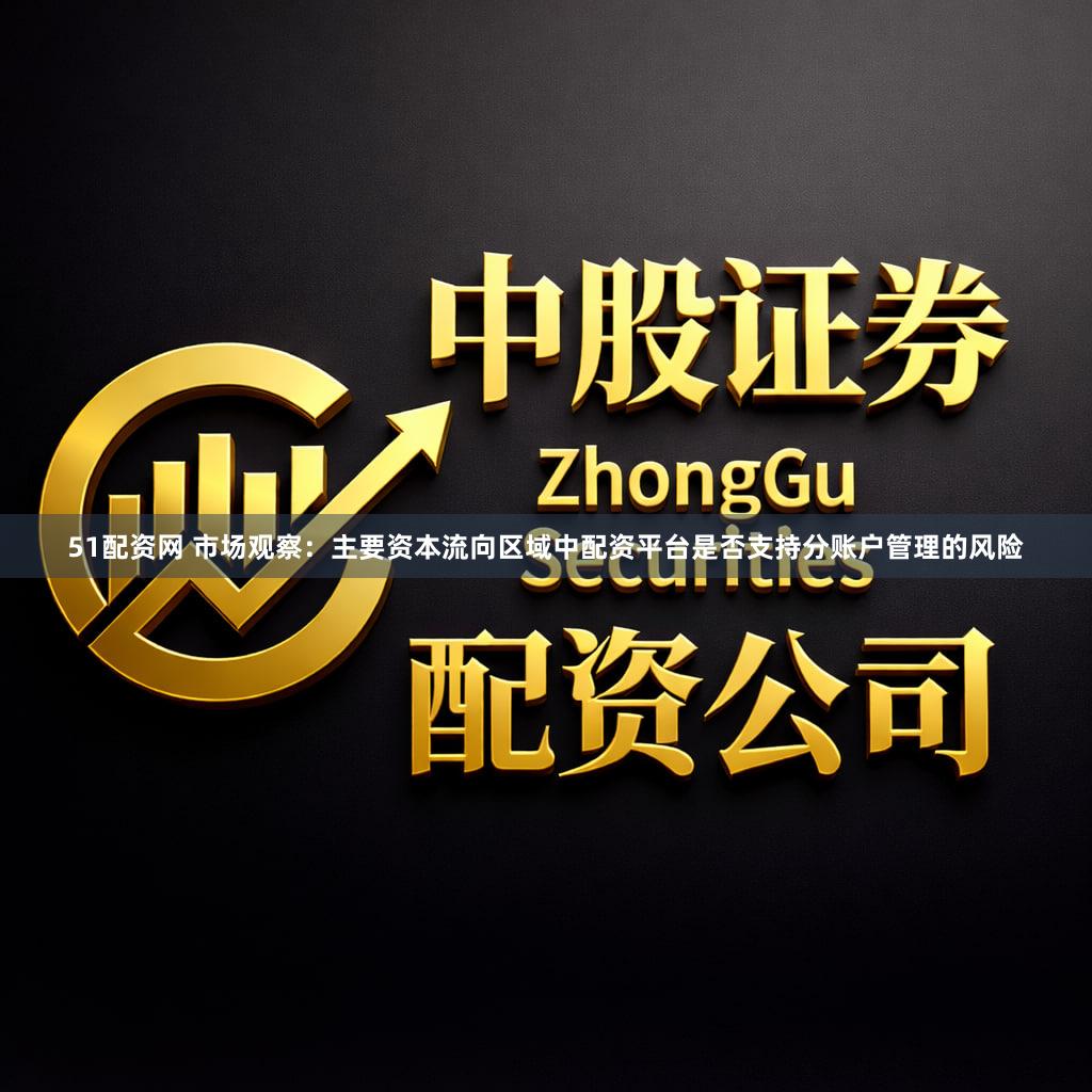 51配资网 市场观察:主要资本流向区域中配资平台是否支持分账户管理的风险