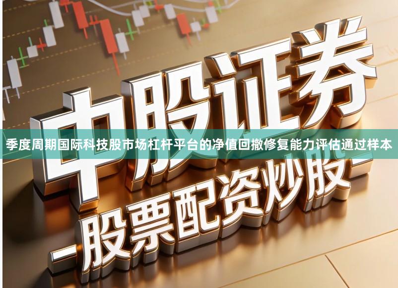 季度周期国际科技股市场杠杆平台的净值回撤修复能力评估通过样本