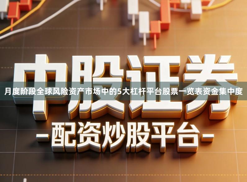 月度阶段全球风险资产市场中的5大杠杆平台股票一览表资金集中度