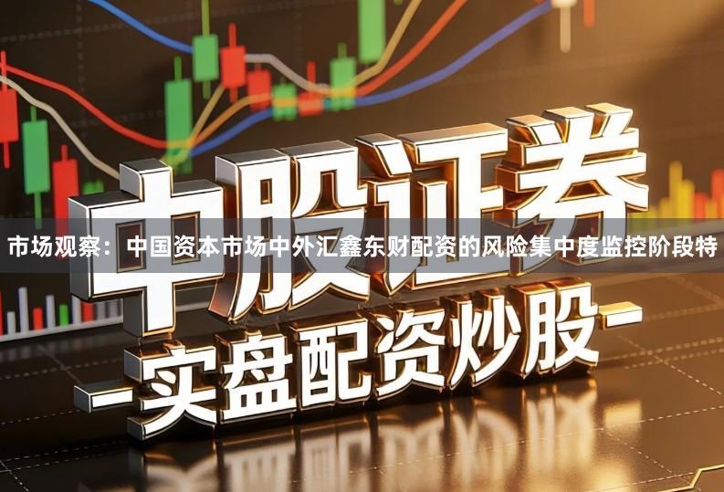 市场观察：中国资本市场中外汇鑫东财配资的风险集中度监控阶段特