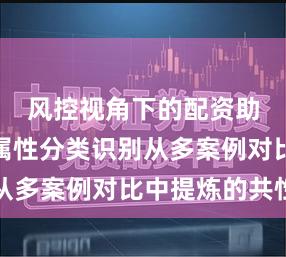 风控视角下的配资助手资金属性分类识别从多案例对比中提炼的共性
