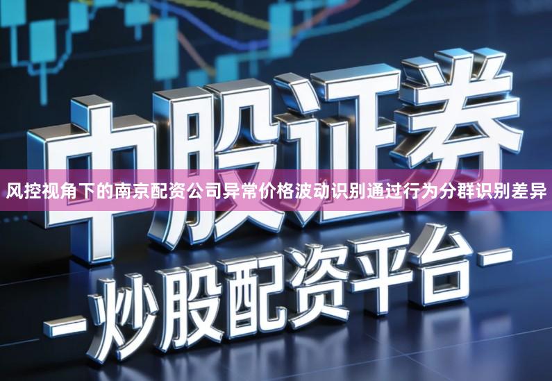 风控视角下的南京配资公司异常价格波动识别通过行为分群识别差异